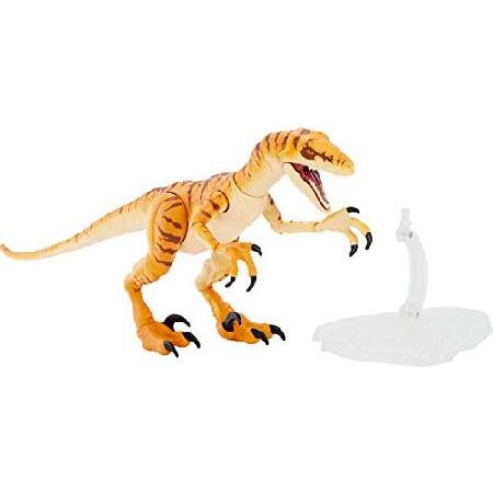 MATTEL（マテル） ジュラシックワールド(JURASSIC WORLD) アンバー