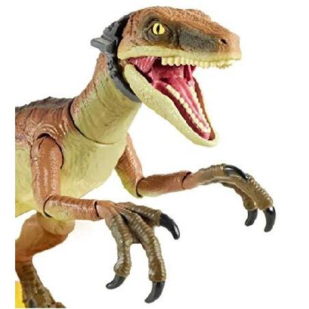 MATTEL（マテル） ジュラシック・パーク アンバーコレクション 6インチ