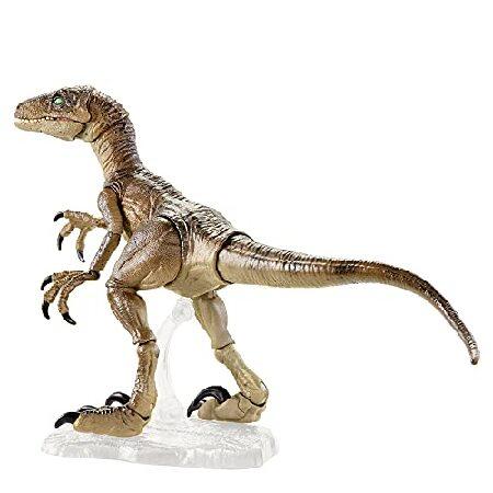 マテル ジュラシックワールド(JURASSIC WORLD) アンバーコレクション/ヴェロキラプトル 【8歳~】 GYJ45の画像