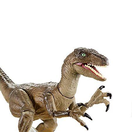 マテル ジュラシックワールド(JURASSIC WORLD) アンバーコレクション/ヴェロキラプトル 【8歳~】 GYJ45の画像
