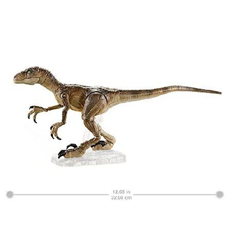 マテル ジュラシックワールド(JURASSIC WORLD) アンバーコレクション/ヴェロキラプトル 【8歳~】 GYJ45の画像