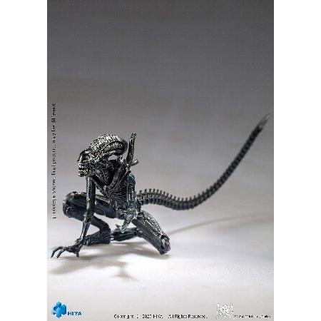 リアルエイリアンコレクション NO.10 HOGDORF 新品未使用 2026年最新