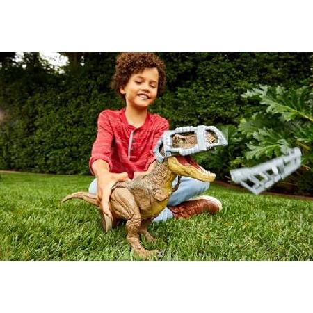 Mattel Jurassic World Camp Cretaceous Dinosaur Toy， Stomp 'n Escape Tyrannosaurus T Rex Action Figure with Stomping Motion_1