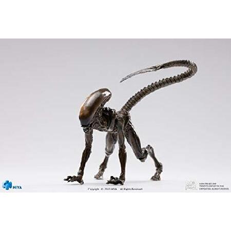 [ハイヤトイズ] エクスクイジットミニシリーズ エイリアン3 ドッグエイリアン 1/18 アクションフィギュア ルックアップ ver [LA0122]_1