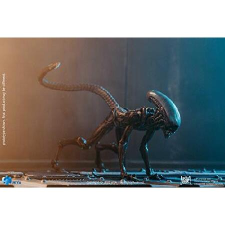 [ハイヤトイズ] エクスクイジットミニシリーズ エイリアン3 ドッグエイリアン 1/18 アクションフィギュア ルックアップ ver [LA0122]_2