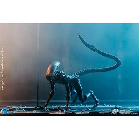 [ハイヤトイズ] エクスクイジットミニシリーズ エイリアン3 ドッグエイリアン 1/18 アクションフィギュア ルックアップ ver [LA0122]_3