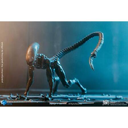 [ハイヤトイズ] エクスクイジットミニシリーズ エイリアン3 ドッグエイリアン 1/18 アクションフィギュア ルックアップ ver [LA0122]_4