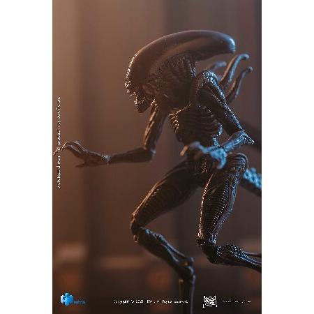 エイリアン4 1/18 アクションフィギュア リード エイリアン