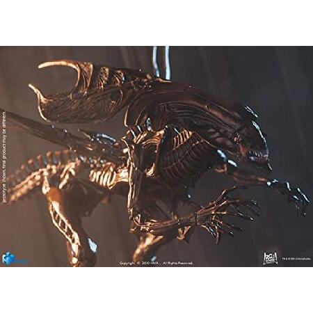 未開封 エイリアン4 フィギュア 2体セット ネカ エイリアン4 ニューボーン・エイリアン 7インチ アクション