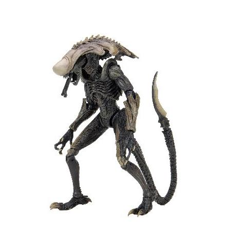 エイリアン　アクションフィギュア NECA（ネカ） NECA Collectible Alien Vs Predator Game Movie