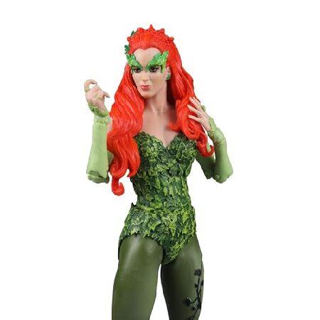McFarlane Toys DC Build-A 7インチ W11 バットマンとロビン ポイズンアイビー， 15639_2