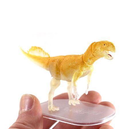 中生代の獣:暗闇で光る恐竜 3個パック - 4インチ ヴェロキラプトル、プロトケラトプス、プシッタコサウルス - 1/18スケール アクションフィギュア コレクション_3