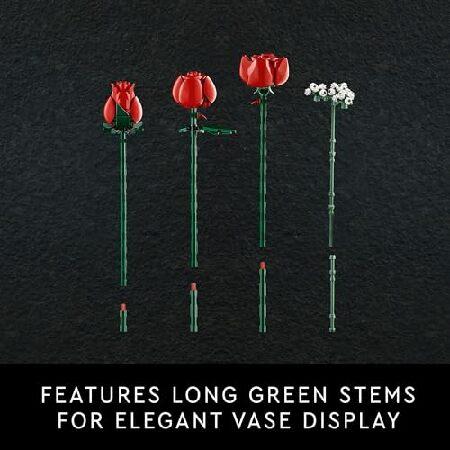 レゴ LEGO Botanicals バラの花束 造花 - フェイクレッドローズ 組み立てセット 大人用 対象年齢18歳以上 女性と男性への記念日のギフト - テーブルディスプレイ