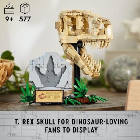 レゴ LEGO Jurassic World Dinosaur Fossils: T Rex Skull Building Toy - Dinosaur Toy for Boys ＆ Girls， Ages 9+ Years - Gift for Christmas - Display for