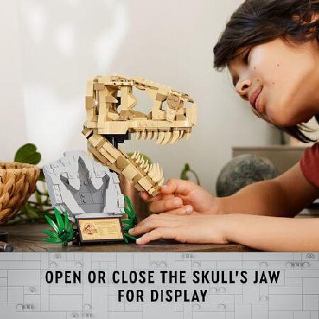 レゴ LEGO Jurassic World Dinosaur Fossils: T Rex Skull Building Toy - Dinosaur Toy for Boys ＆ Girls， Ages 9+ Years - Gift for Christmas - Display for