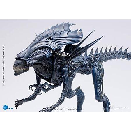 Hiya Toys 絶妙なミニシリーズ 1/18スケール 5インチ AVP エイリアン
