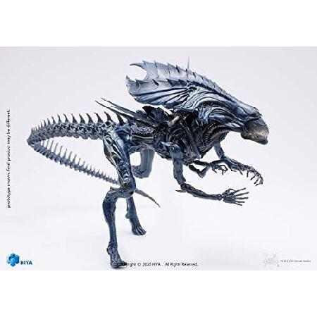 Hiya Toys 絶妙なミニシリーズ 1/18スケール 5インチ AVP エイリアン