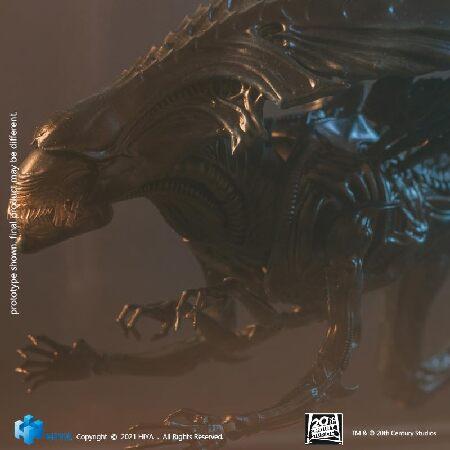 Hiya Toys 絶妙なミニシリーズ 1/18スケール 5インチ AVP エイリアン