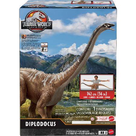 Mattel Jurassic World Legacy Collection Diplodocus Large Dinosaur Action Figure_5
