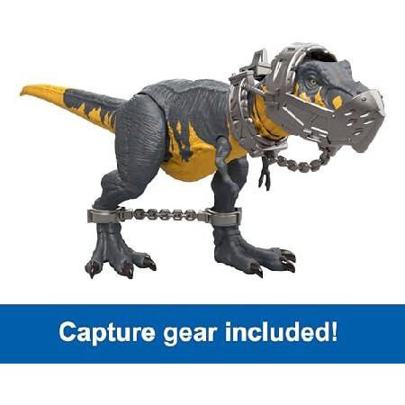 MATTEL（マテル） ジュラシックパーク '93 クラシックセット T.rex