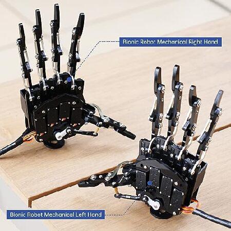 Hiwonder 人造人間お手手 5本指受け支える 二次発展のみ 動くこと バイオニックロボット 力学的腕 お手手 DIY 人造人間 (押し手)