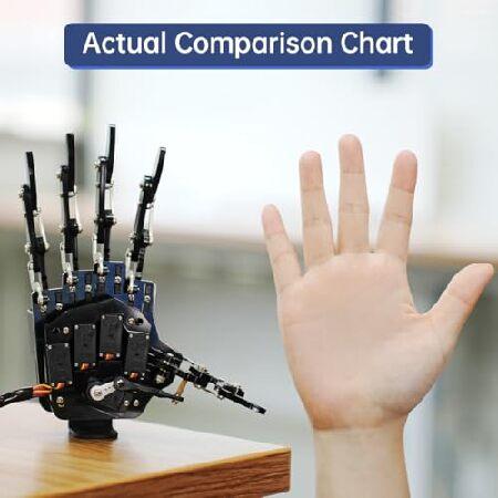 Hiwonder 人造人間お手手 5本指受け支える 二次発展のみ 動くこと バイオニックロボット 力学的腕 お手手 DIY 人造人間 (押し手)