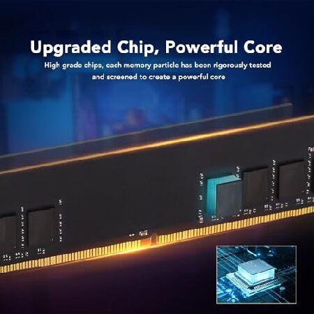 DDR4 Desktop Computer Memory， DDR4 RAM XMP Memory Module for Intel and AMD， Desktop Computer Gaming Memory (DDR4 3200MHz 16GB (2x8GB))_3