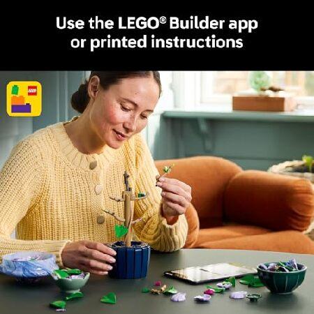 レゴ LEGO Botanicals Hibiscus Flower Building Set - Artificial Plant ＆ Flower Building Blocks for Women ＆ Men， Ages 18+ - Home， Office Decor Gift Id_5