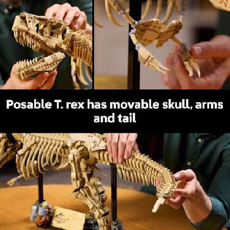 レゴ LEGO Jurassic World Dinosaur Fossils: Tyrannosaurus Rex - Building Set for Adults, Ages 18+ - Gift for Christmas - Collectible Home Decor for Bedの画像