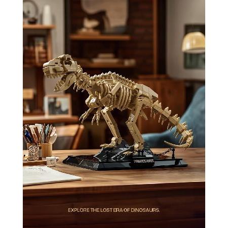 Nifeliz T. Rex Fossils モデルトイ、ティラノサウルス レックス 恐竜