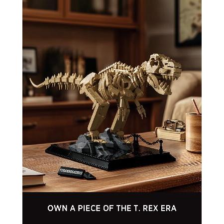 Nifeliz T. Rex Fossils モデルトイ、ティラノサウルス レックス 恐竜