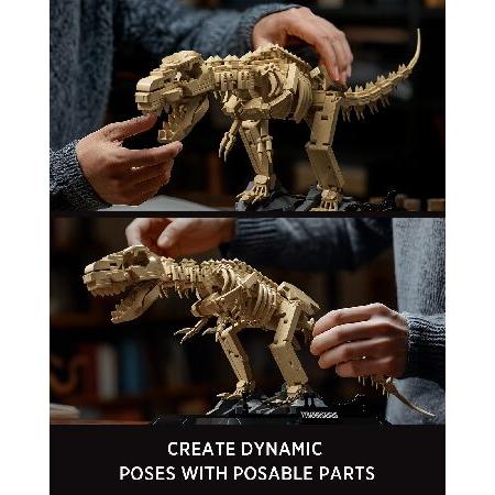 Nifeliz T. Rex Fossils モデルトイ、ティラノサウルス レックス 恐竜