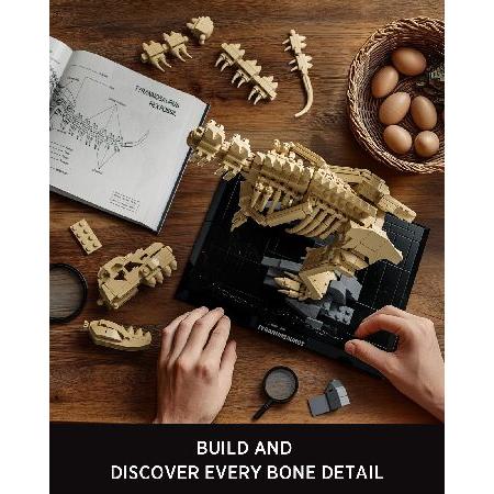 Nifeliz T. Rex Fossils モデルトイ、ティラノサウルス レックス 恐竜