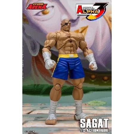 ストームアリーナ ストリートファイター ゼロ 3 サガット 1/12スケール