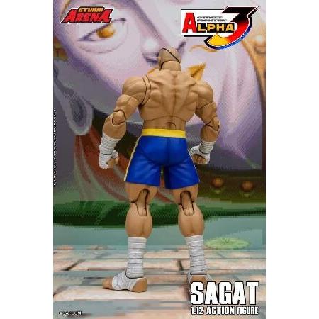 ストームアリーナ ストリートファイター ゼロ 3 サガット 1/12スケール