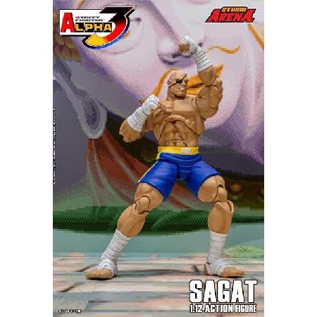 新品未開封　ストリートファイターZERO3　サガット　ストームアリーナ ストームアリーナ ストリートファイター ゼロ 3 サガット 1/12スケール
