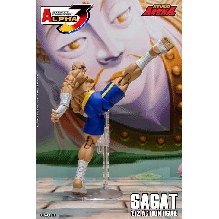 ストームアリーナ ストリートファイター ゼロ 3 サガット 1/12スケール