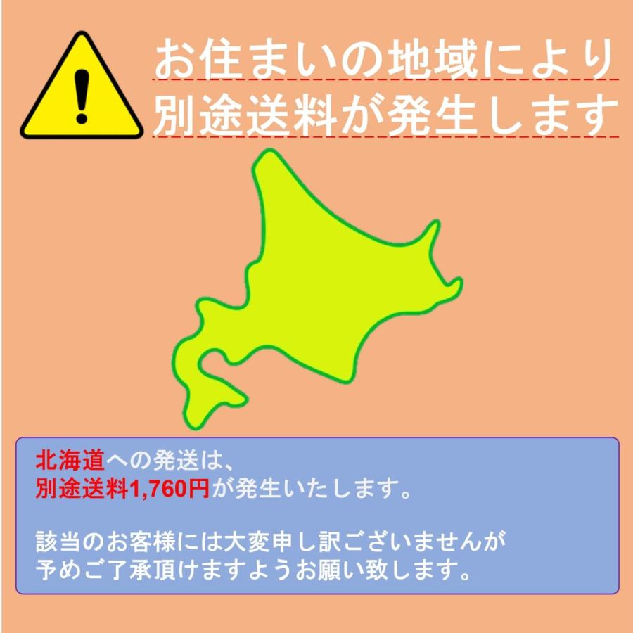 ダストボックス おしゃれ 45L ペダル式 ゴミ箱｜technotrading｜16