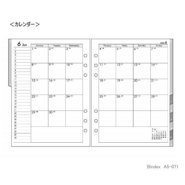 パインデックスBindex システム手帳　A5サイズ 楽天市場】バインデックス Bindex / セオリア システム手帳