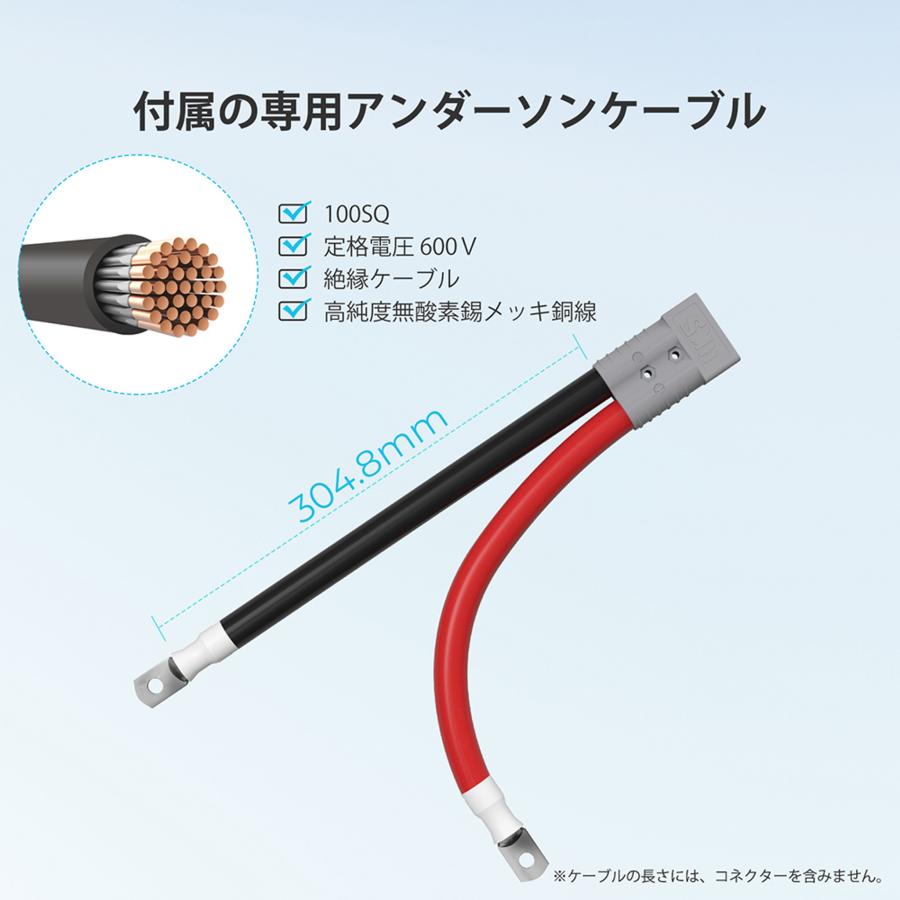 RENOGY Renogy 12V 400AH REGOシリーズ リン酸鉄リチウムイオン RENOGY Renogy 12V 400AH REGOシリーズ リン酸鉄リチウムイオン