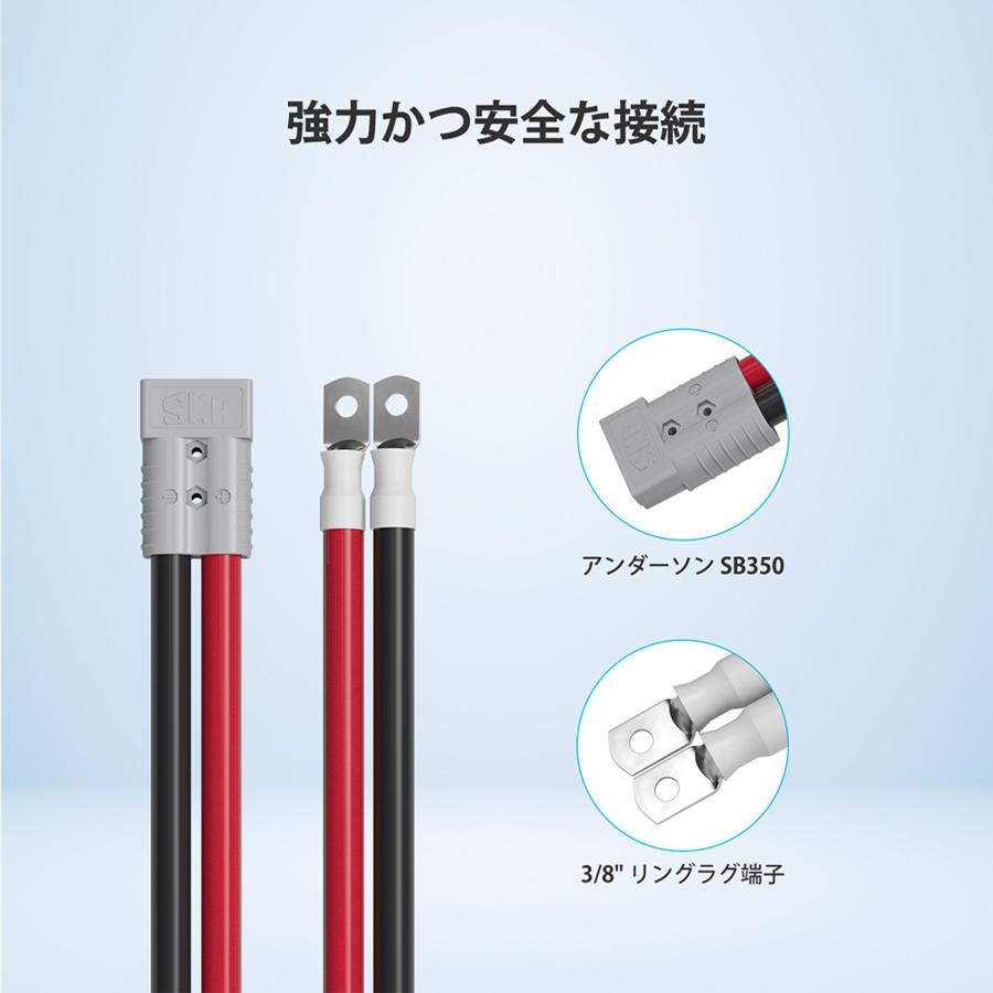 RENOGY Renogy 12V 400AH REGOシリーズ リン酸鉄リチウムイオン RENOGY Renogy 12V 400AH REGOシリーズ リン酸鉄リチウムイオン