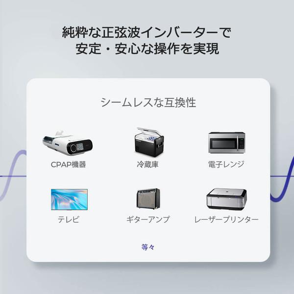 RENOGY（レノジー） ポータブル電源 1000 リン酸鉄リチウムイオン