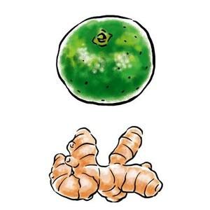 シークヮーサー生姜ドリンク〈30％シークヮーサー果汁入り〉レギュラーサイズ 330g |  | 02