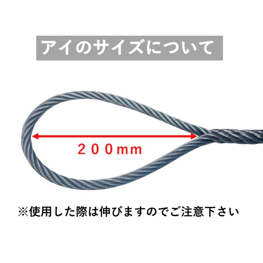 フック付き フック入り 玉掛けワイヤ 台付けワイヤ JIS メッキ ワイヤ径９mm【３部】×長さ１.０ｍ〜１２.０ｍ |  | 03