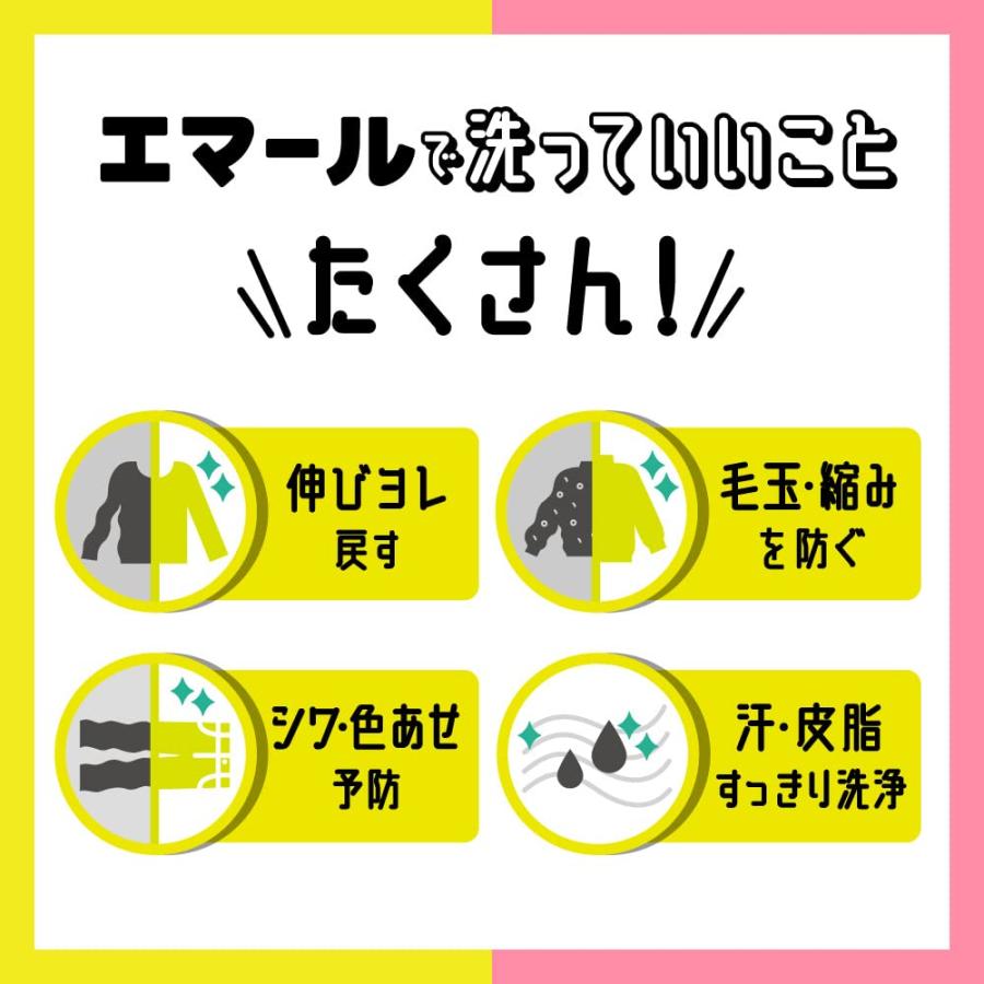 エマール 洗濯洗剤 液体 おしゃれ着用 リフレッシュグリーンの香り 本体 500ml｜tecy｜05