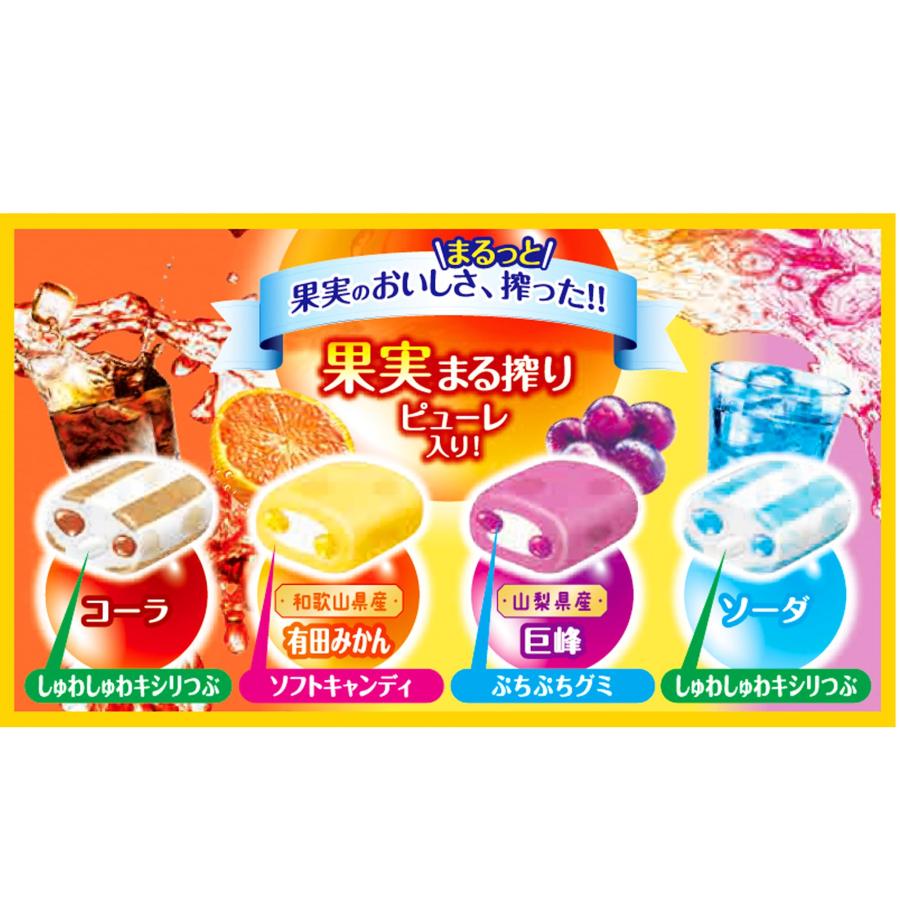 UHA味覚糖 ぷっちょ袋 4種アソート 88g×6袋 : Wonder-SHOP - 通販