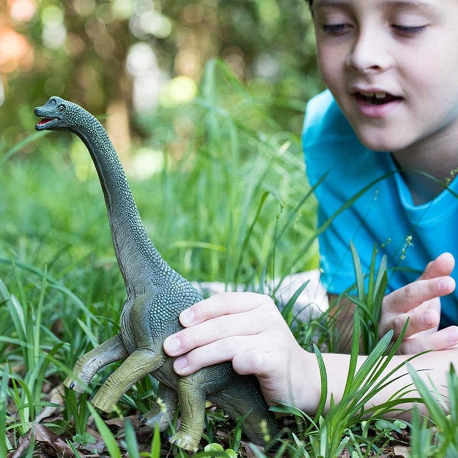 シュライヒ Schleich 恐竜 ブラキオサウルス フィギュア 14581