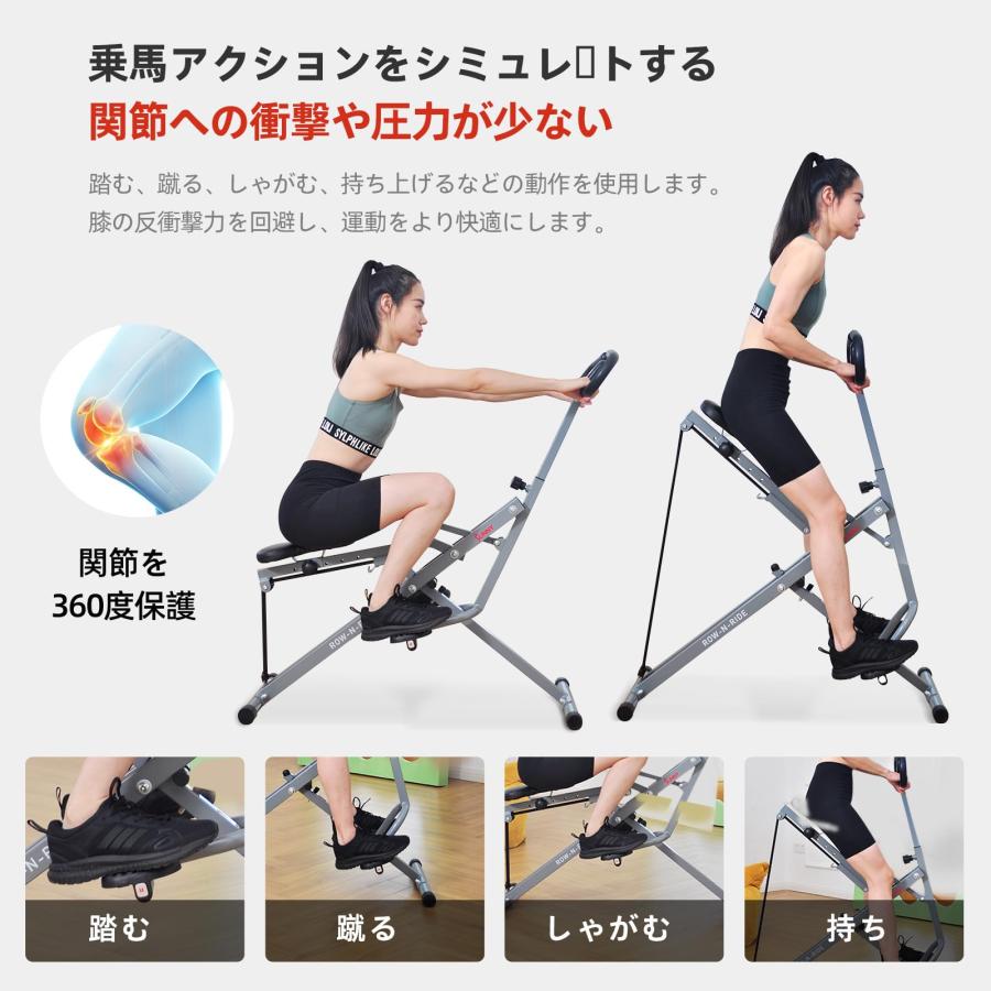 サニーヘルス&フィットネス Sunny Health & Fitness Row-N-Ride ロウ 