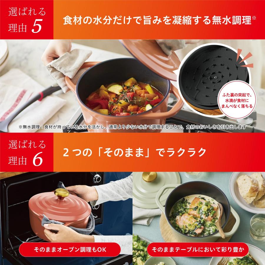 ティファール ココット鍋 24cm 両手鍋 無水調理 鋳物なのに軽くて使い