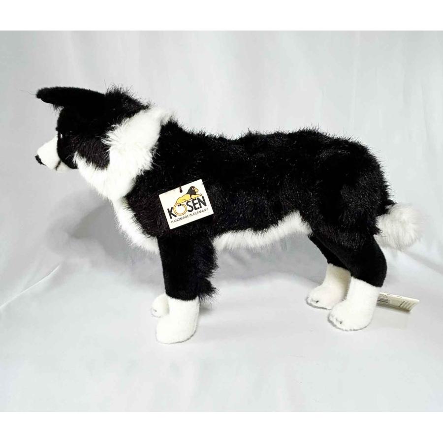 ケーセン ボーダーコリー KOSEN Koesen Border Collie dog 犬の
